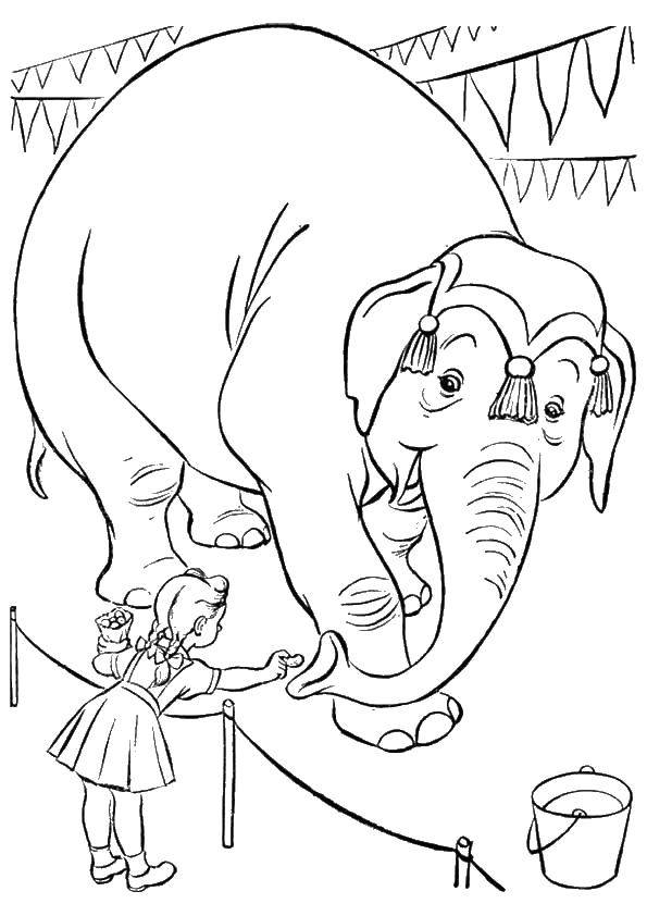   Слоник и девочка