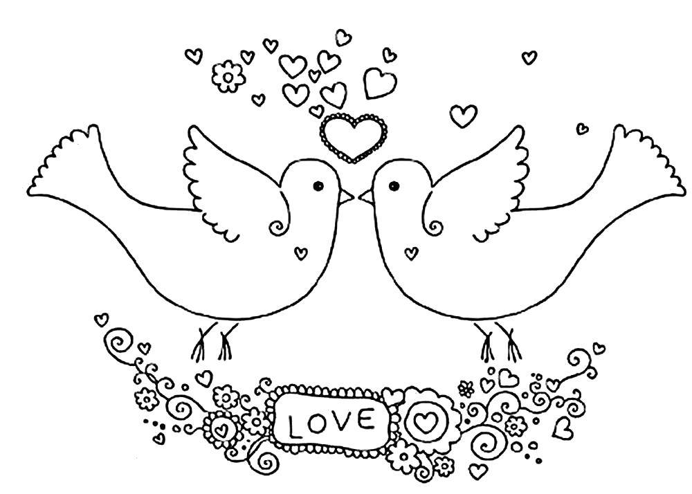 Раскраски с птицей голубь  Любовь голубей
