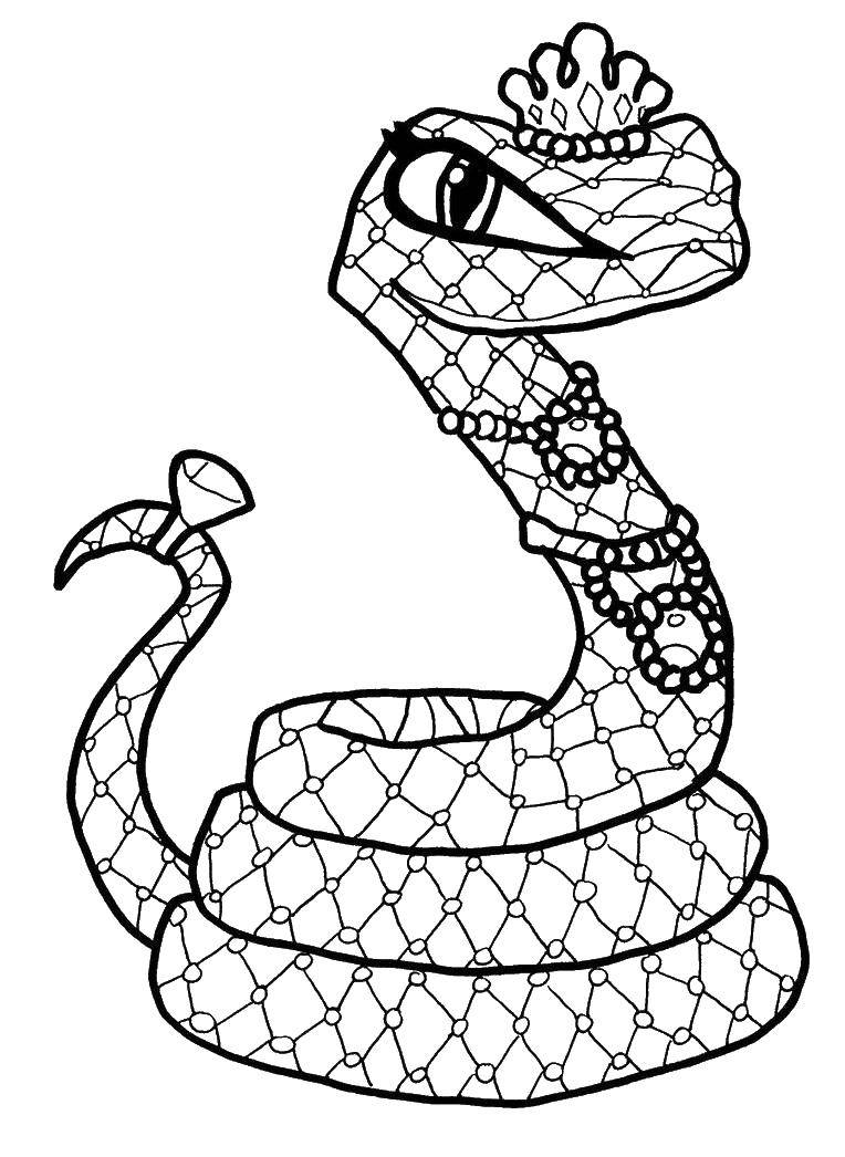 Раскраски змея  Змейка.