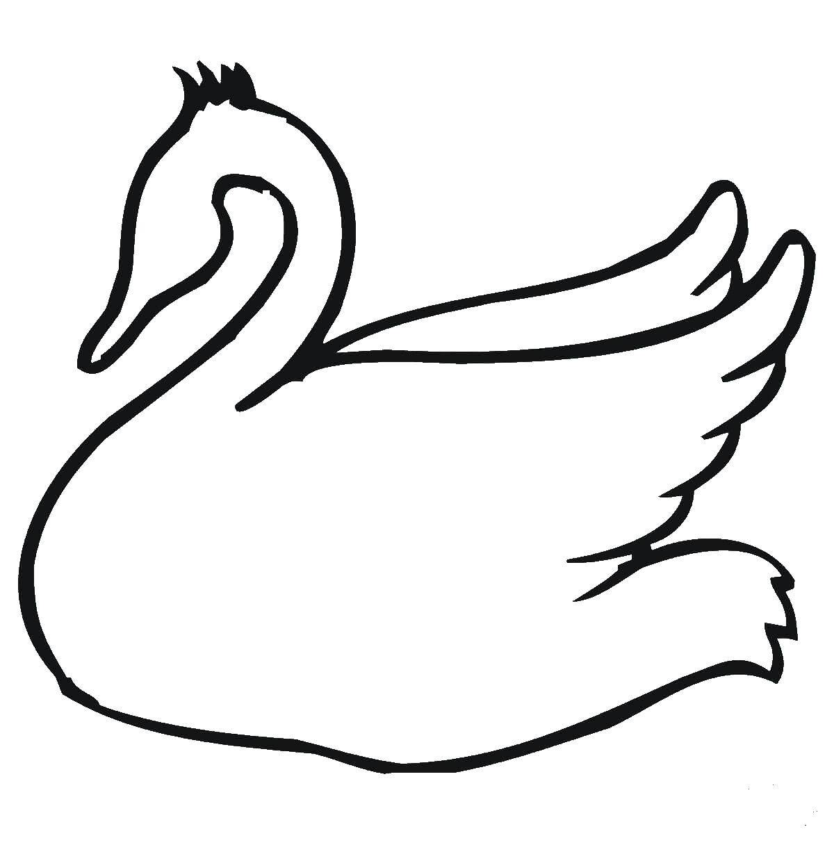 Раскраска лебедь  Контур лебедя