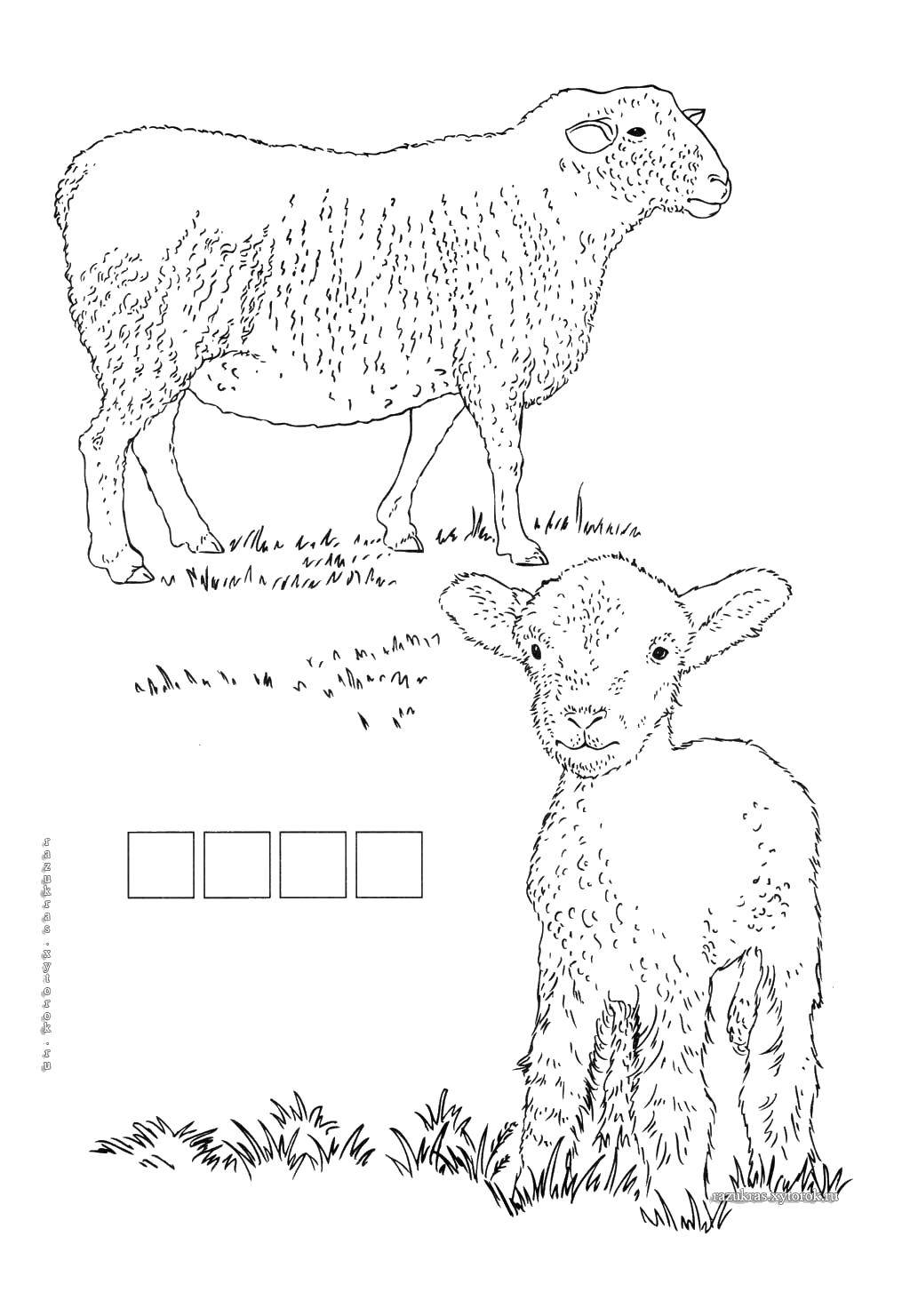   Овца и ягнёнок