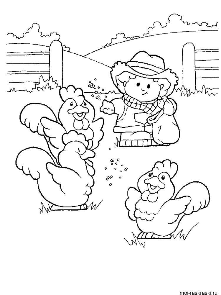   Фермер кормит куриц