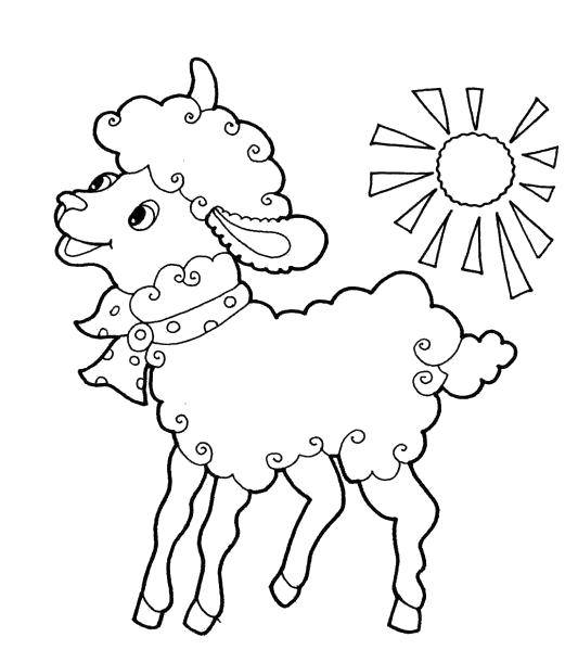 Раскраски овечки, бараны, ягнята  Овечка под солнышком