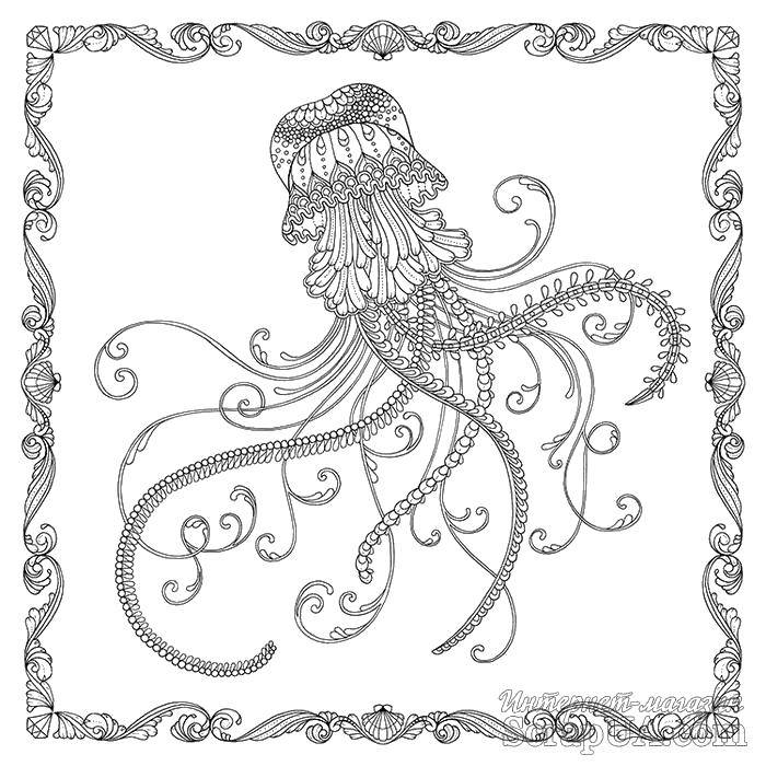   Медуза с длинными щупальцами.