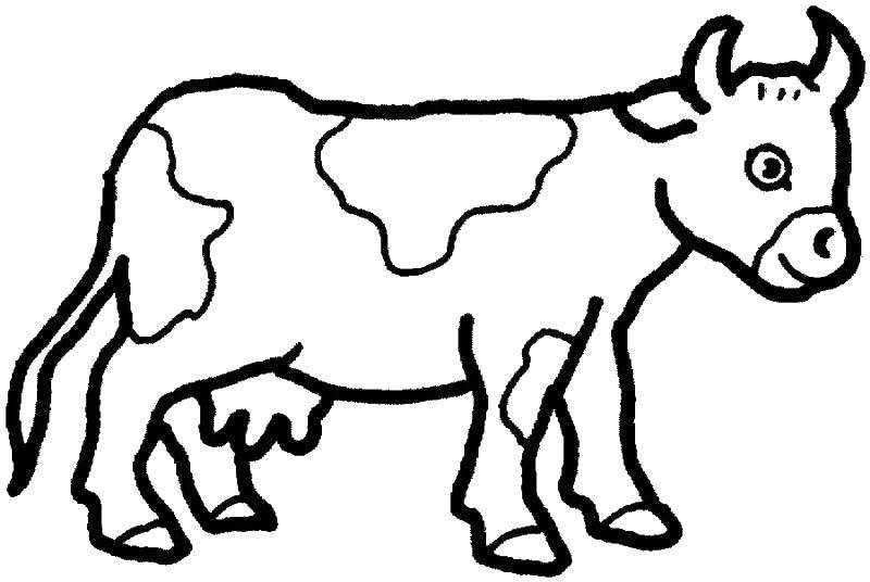 Раскраски домашняя корова  Корова с пятнышками