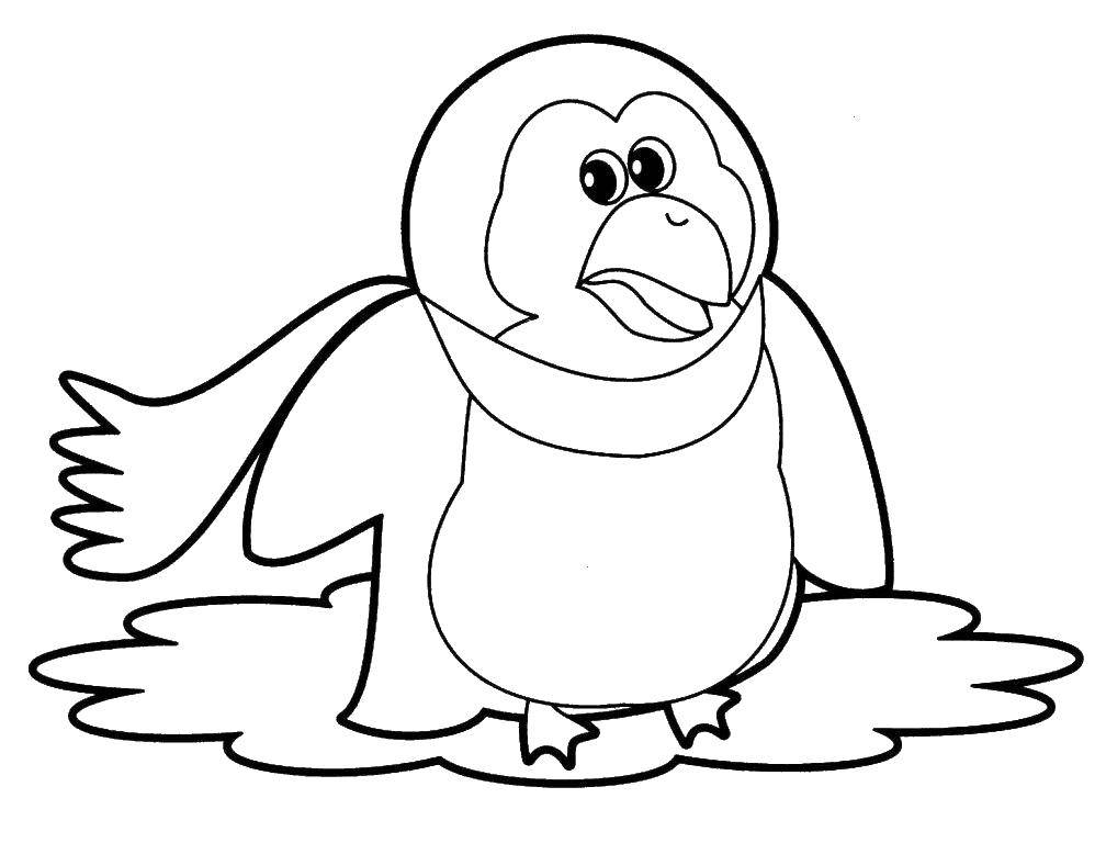Раскраска с пингвинами  Пингвинчик в шарфе