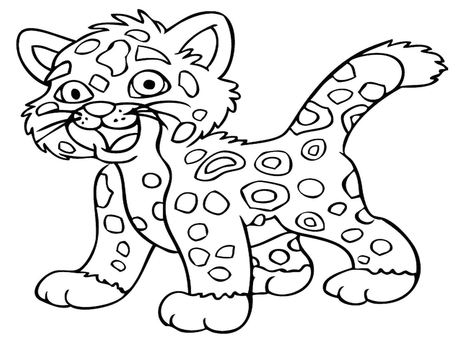 Раскраски леопард  Малыш леопард