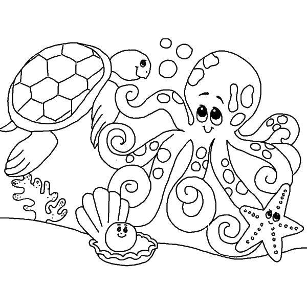   Осьминог, черепашка, морская звезда и жемчужина