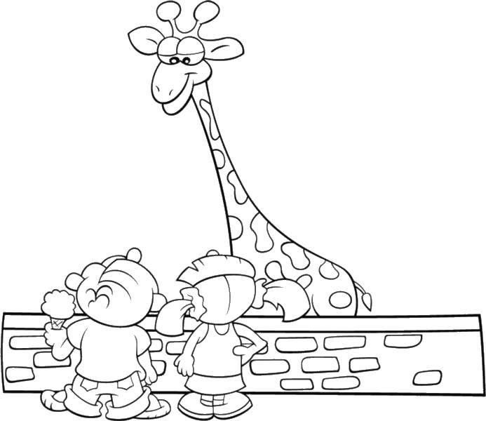 Раскраски жираф  Дети смотрят на жирафа