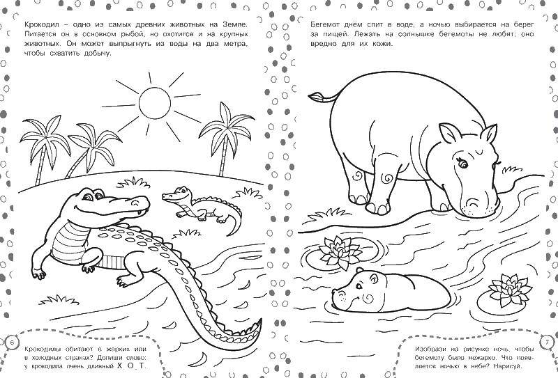 Раскраски бегемоты и гиппопотамы   Бегемот и крокодил