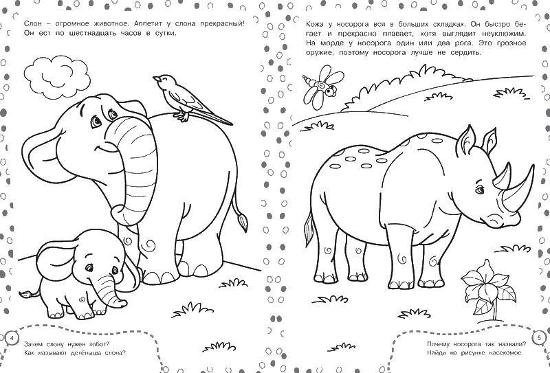 Раскраски носороги  Носорог и слон