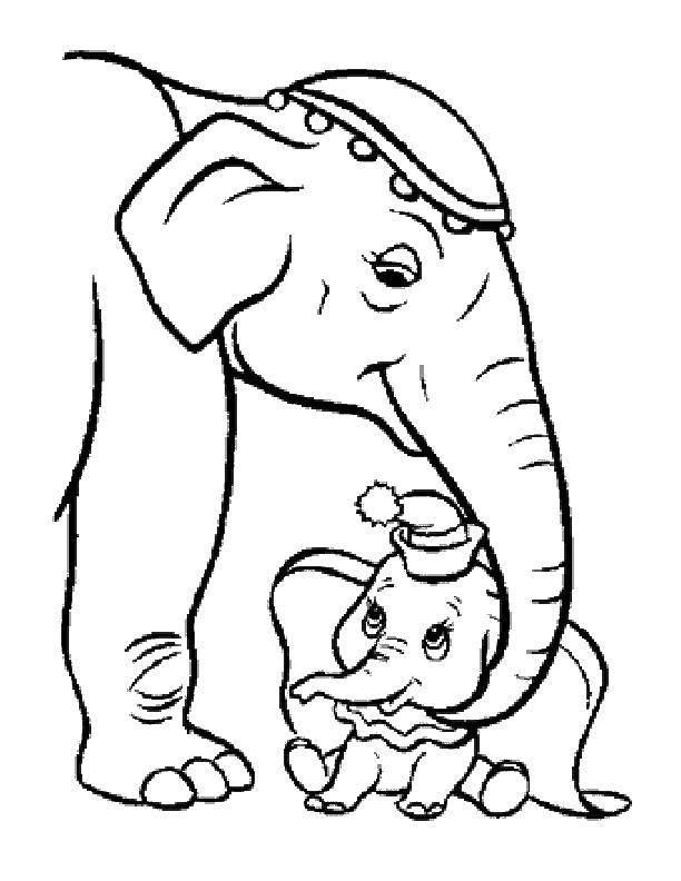   Слониха и слоненок