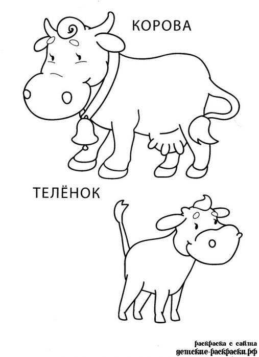 Раскраски домашняя корова  Рисунок коровы и теленка