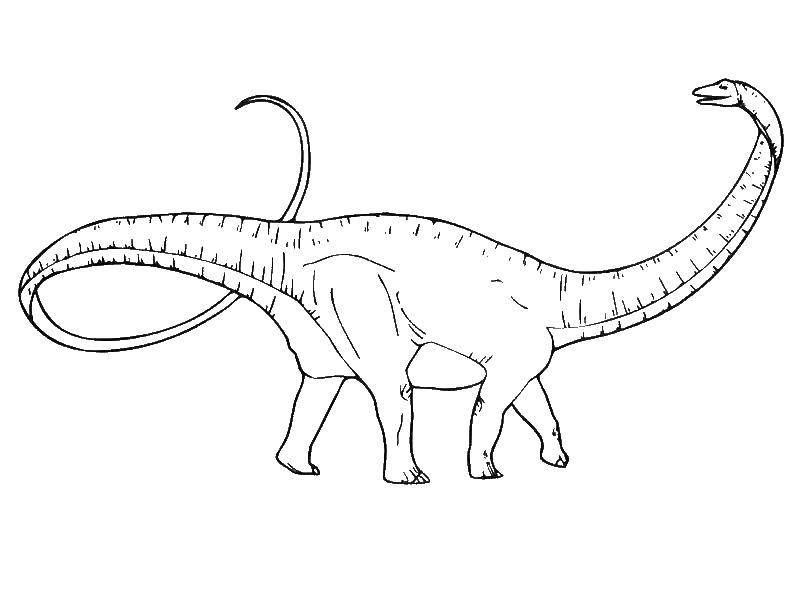   Динозавр диплодок