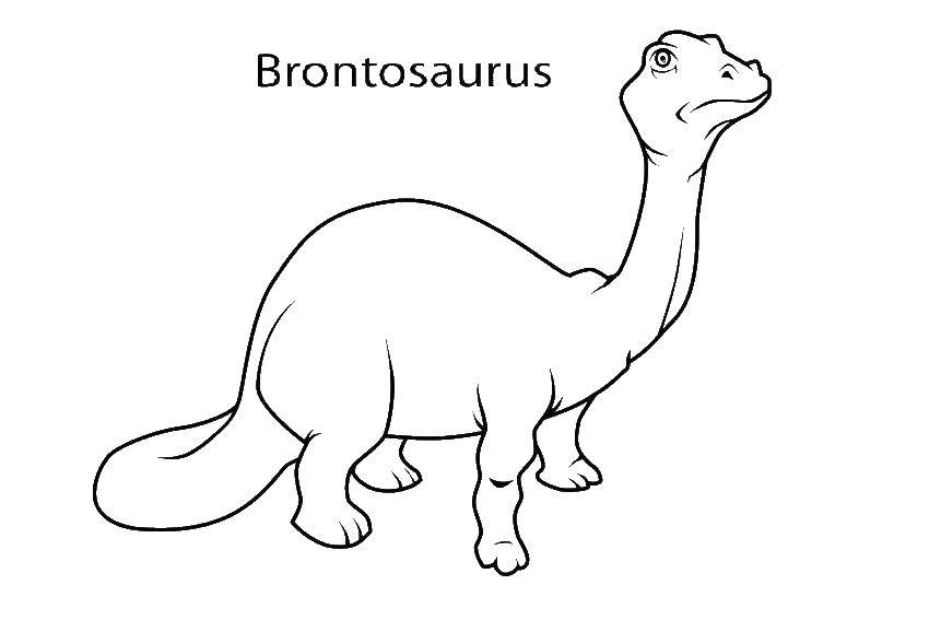   Бронтозавр динозавр