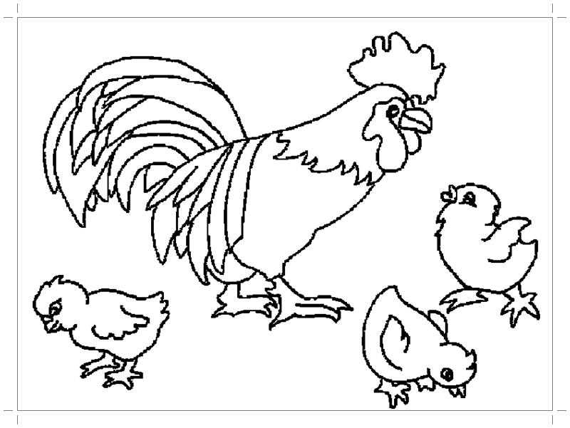   Рисунок петуха с цыплятами