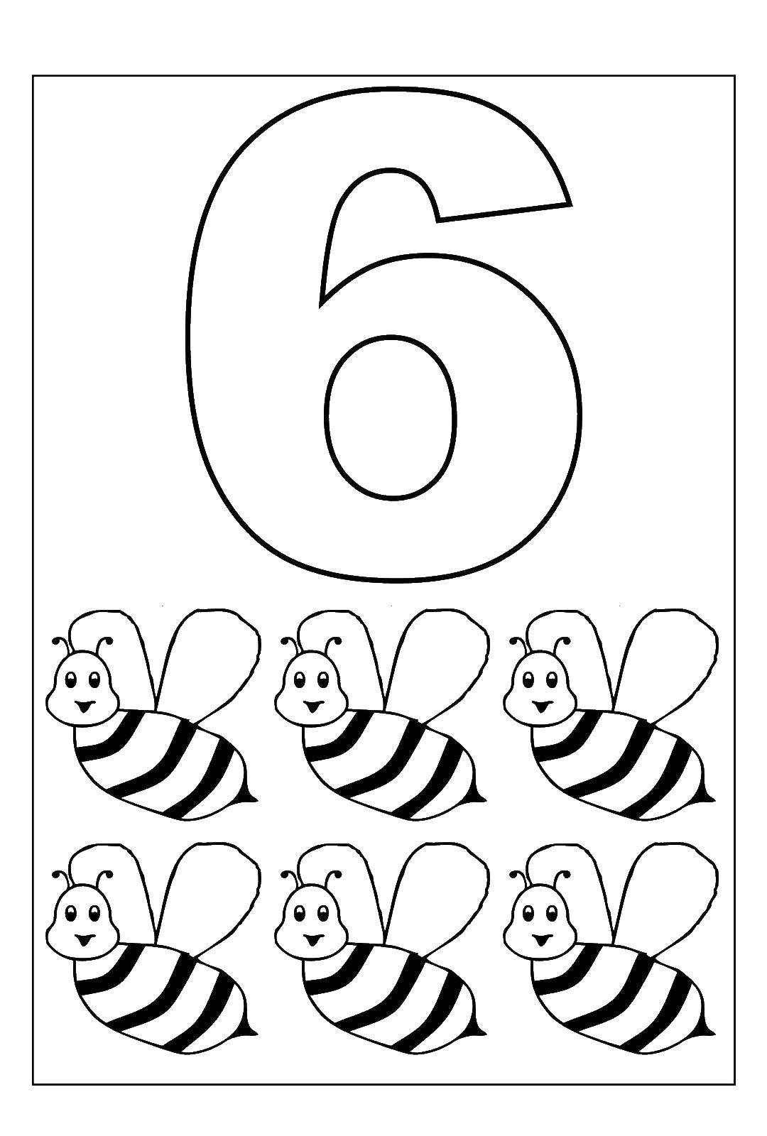   6 пчел