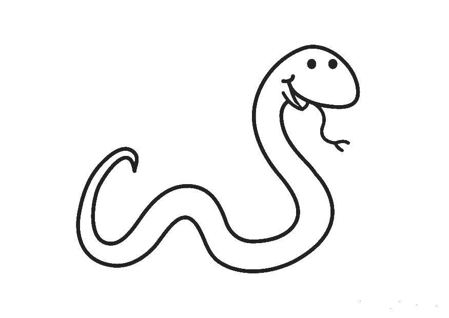 Раскраски змея  Змейка
