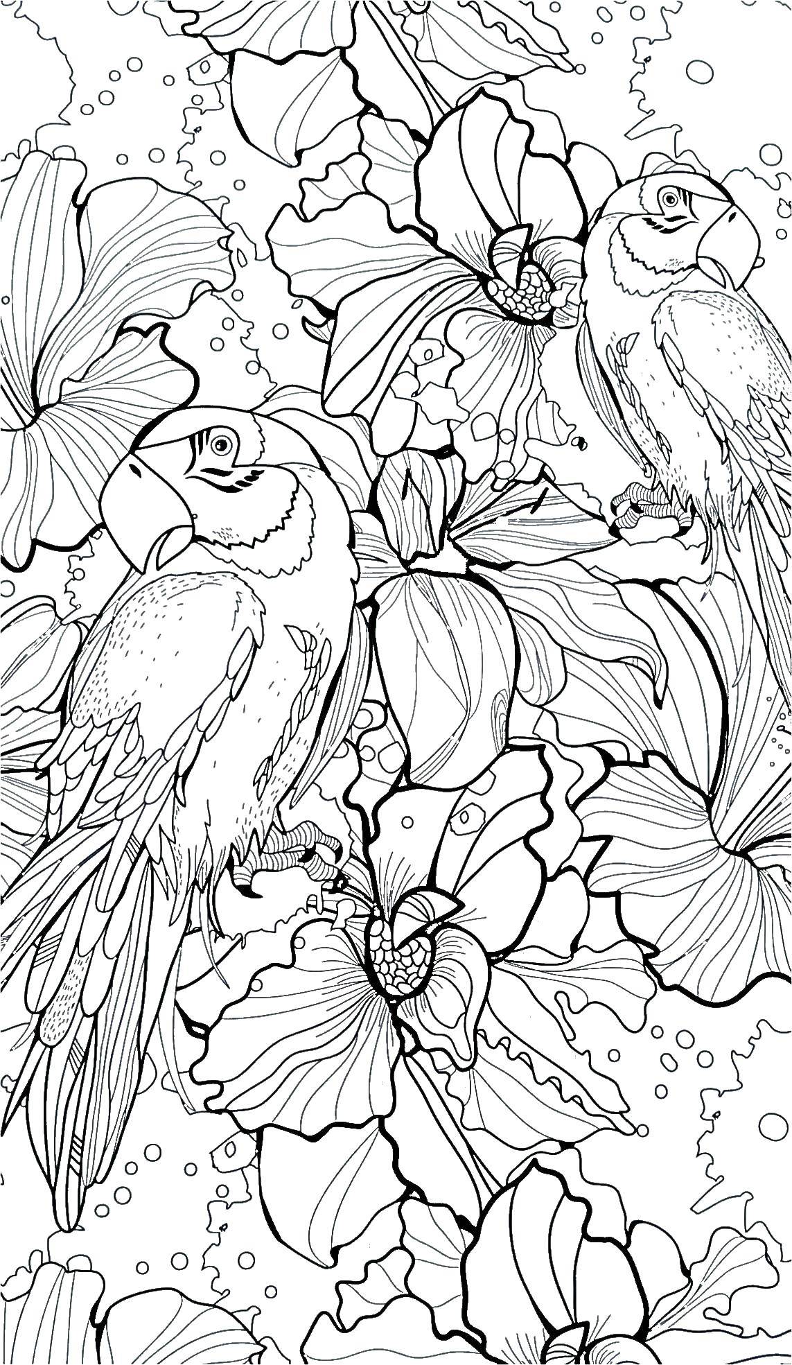 Раскраска попугай  Попугайчики в цветах