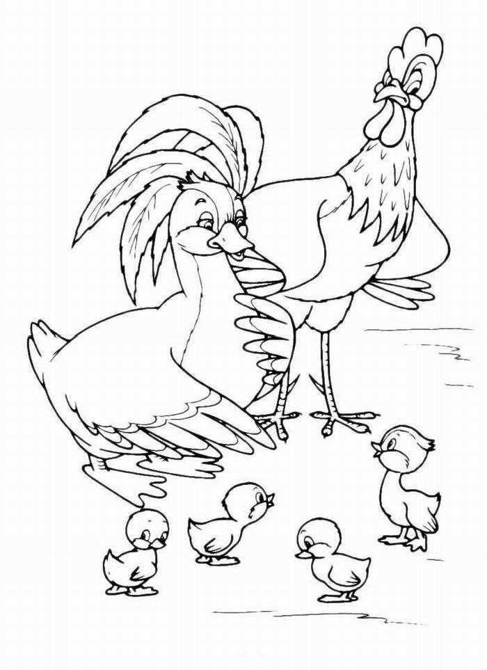   Рисунок курицы и утки