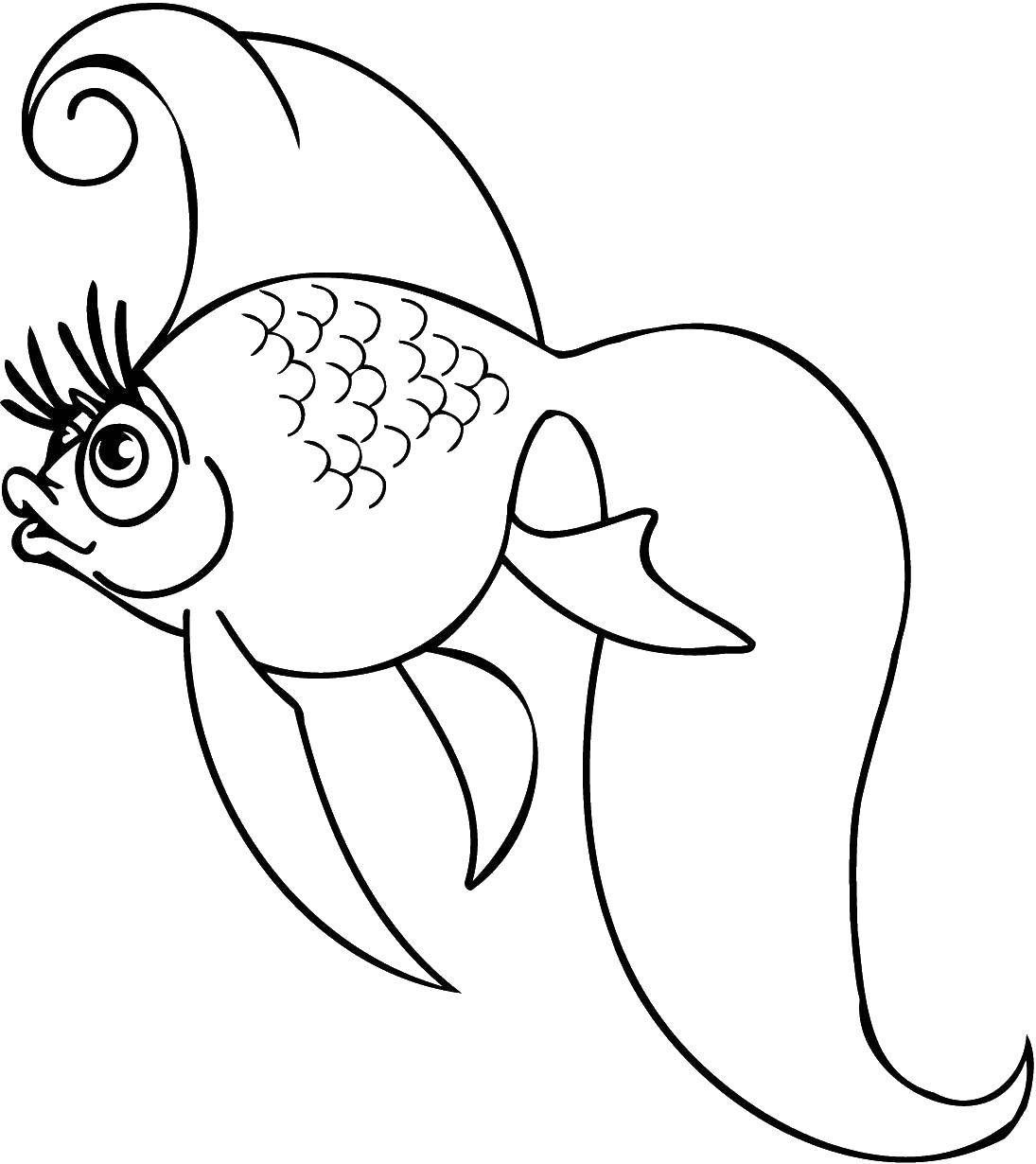   Золотая рыбка с ресничками
