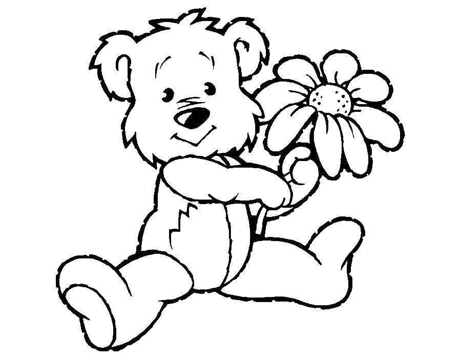 Раскраски медведь, медведица, медвежонок  Медвежонок держит цветок