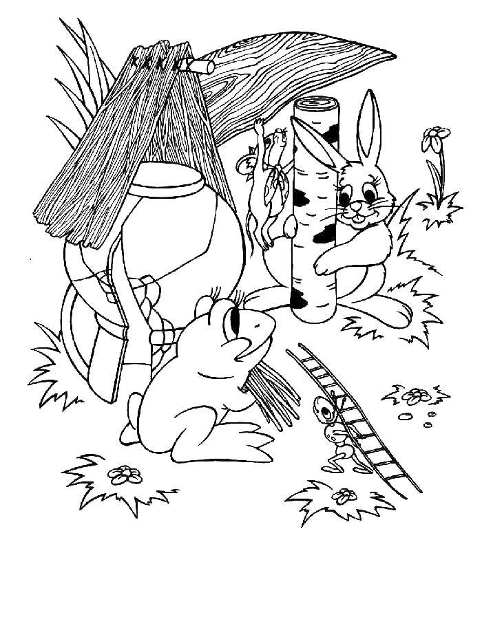 Раскраски зайцы, зайчиха, зайчонок  Лягушка и заяц