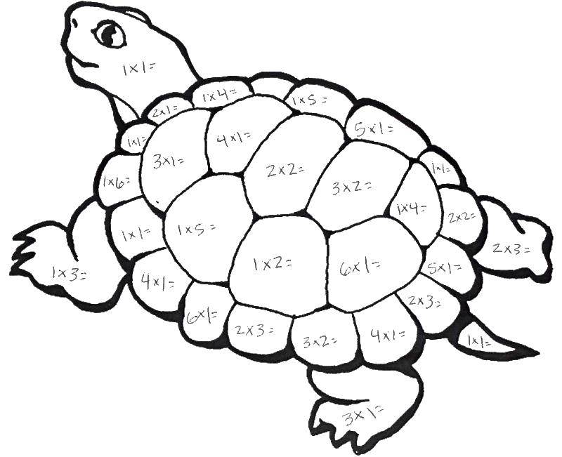   Черепаха математическая раскраска