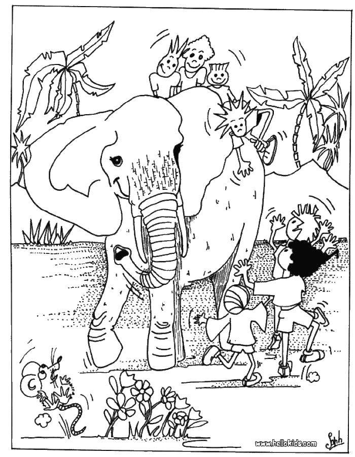   Дети и слон