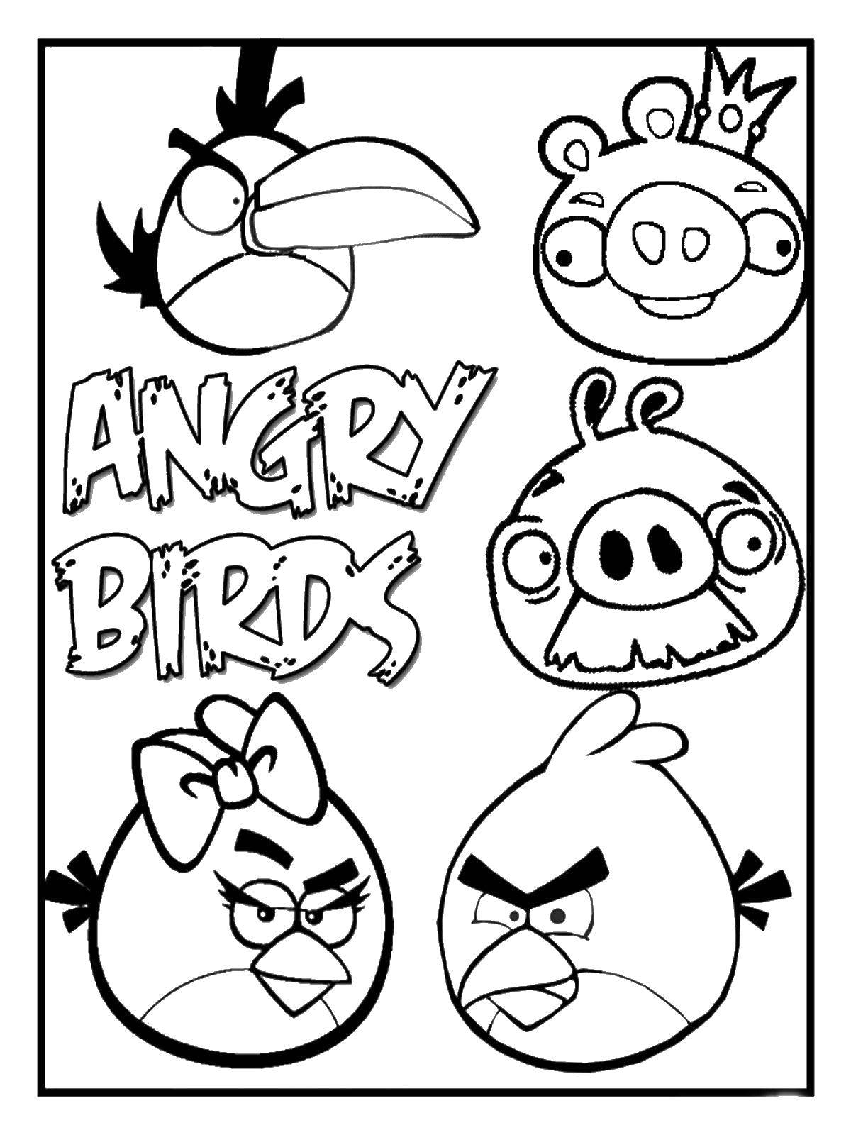   Angry birds и король свин