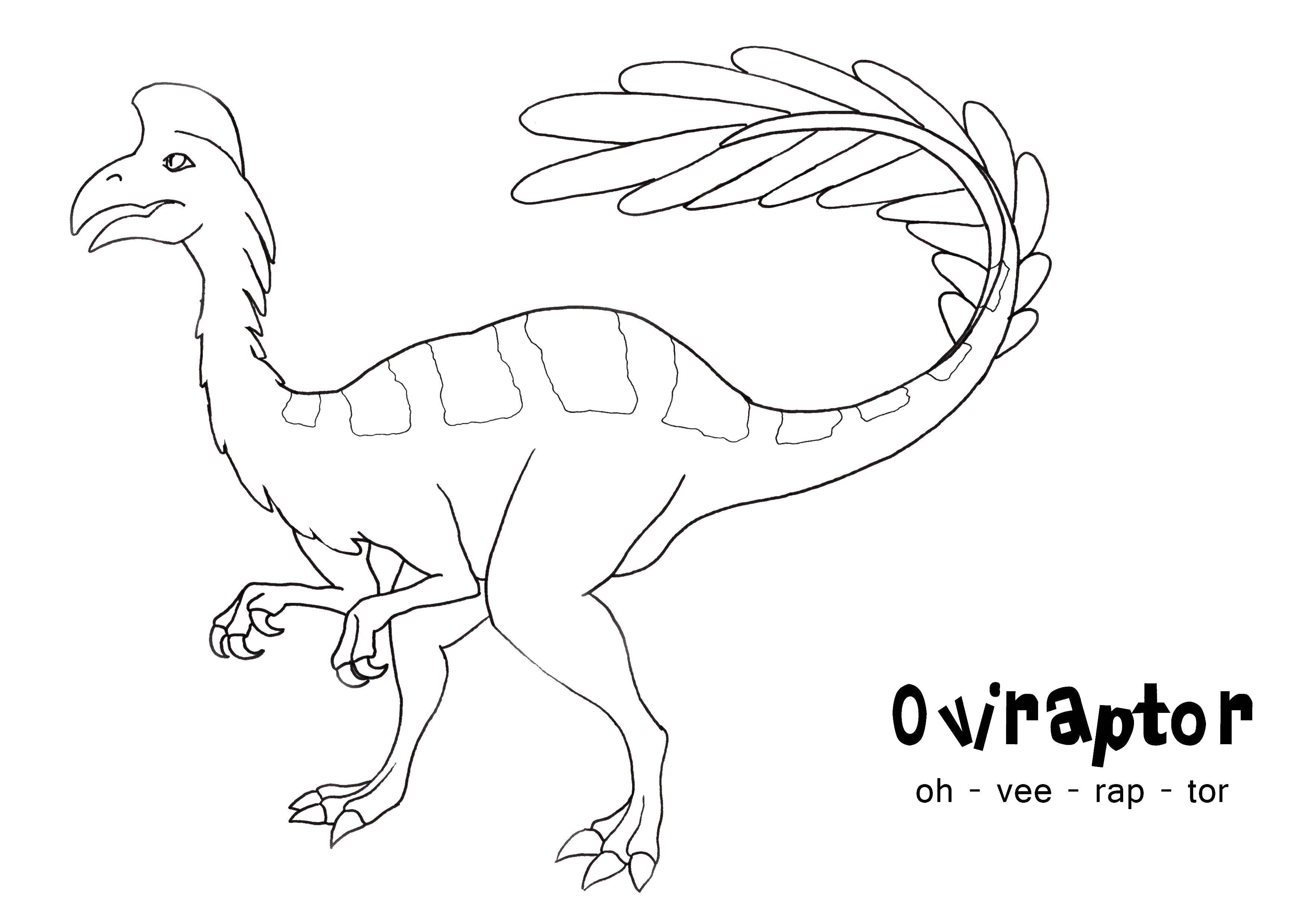 Раскраски с динозавром раптор  Динозавр овираптор