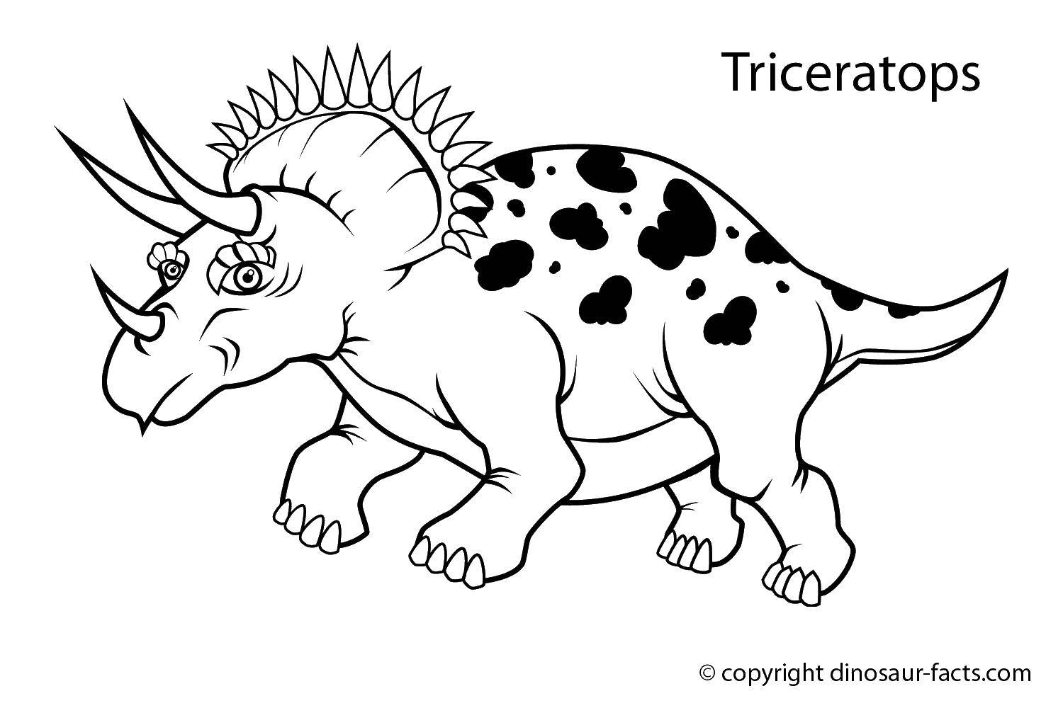 Раскраски с динозавром раптор  Трицераптор детеныш