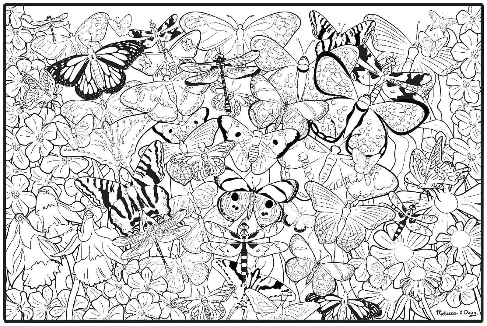   Много бабочек и цветы