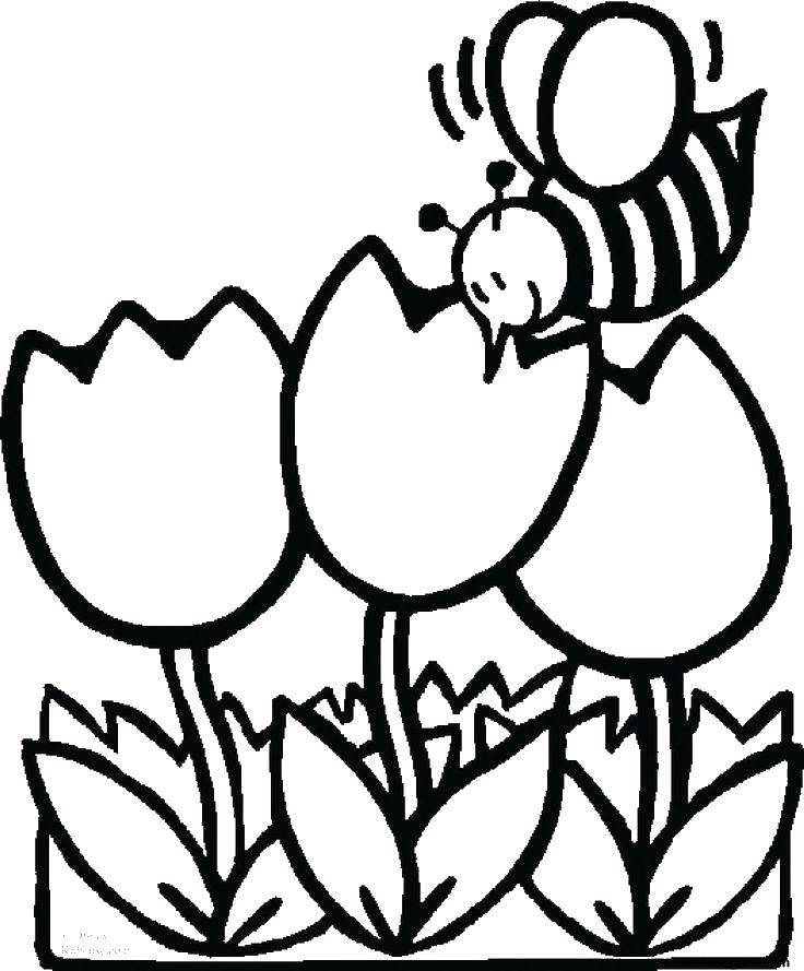   Пчела нюхает цветы