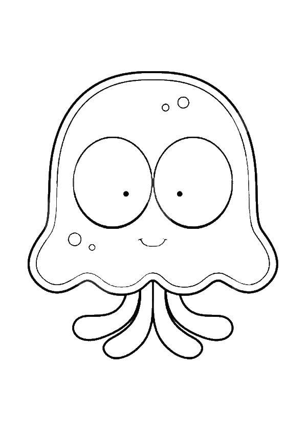  Медуза с большими глазами