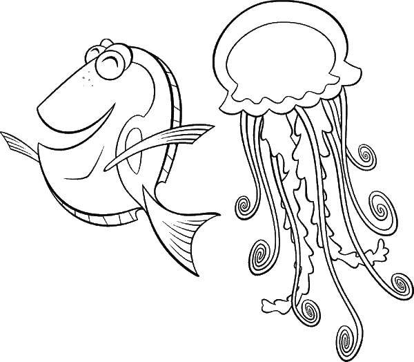   Рыба и медуза