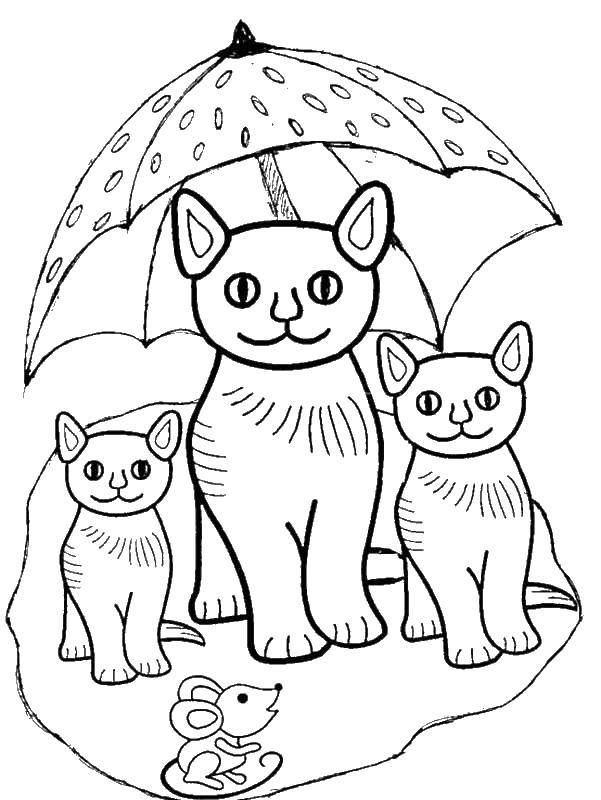   Кошки под зонтом с мышкой