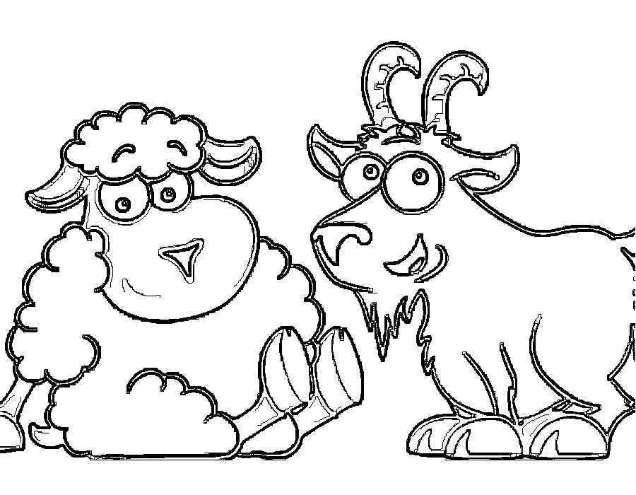   Рисунок барашка и козла