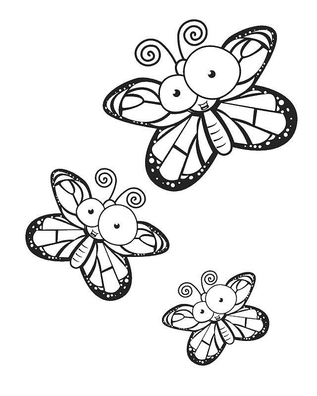   Глазастые бабочки