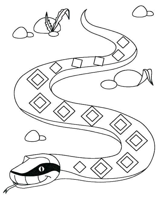 Раскраски змея  Змея и камни
