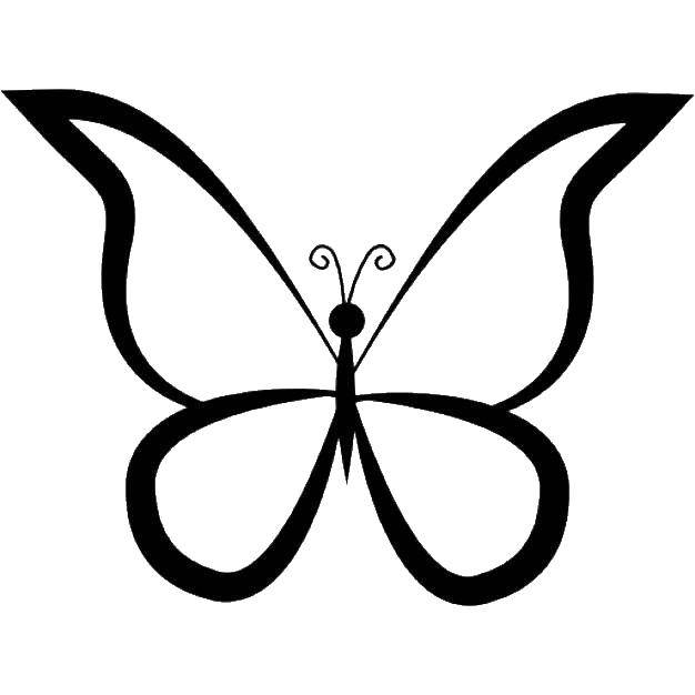   Бабочка с красивыми крылышками