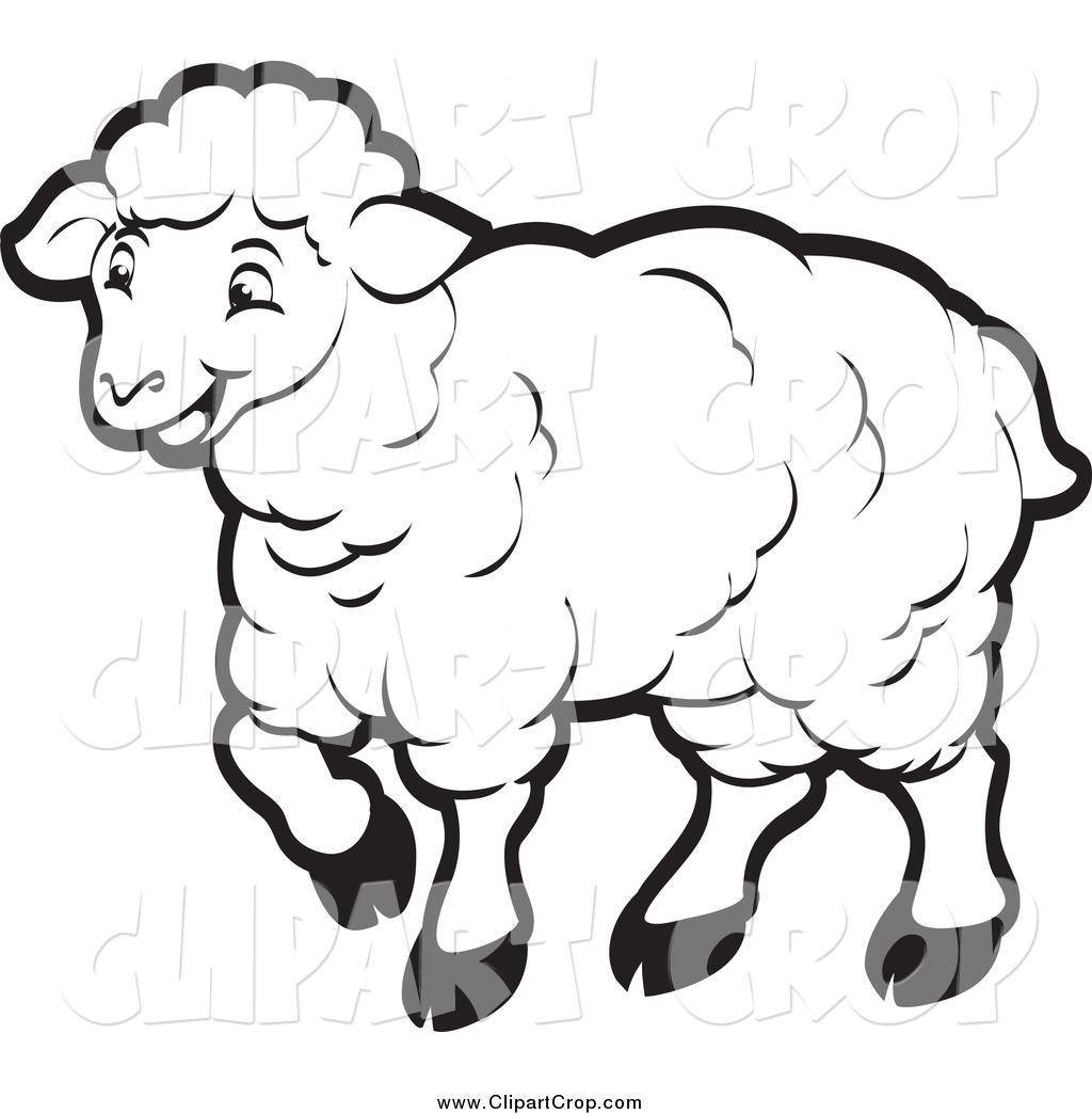 Раскраски овечки, бараны, ягнята  Пушистая овечка
