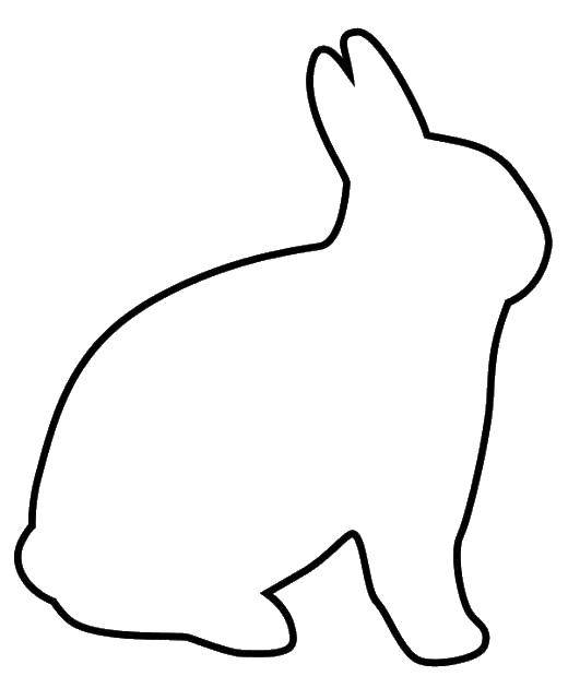 Раскраски зайчата и зайцы  Шаблон зайчика