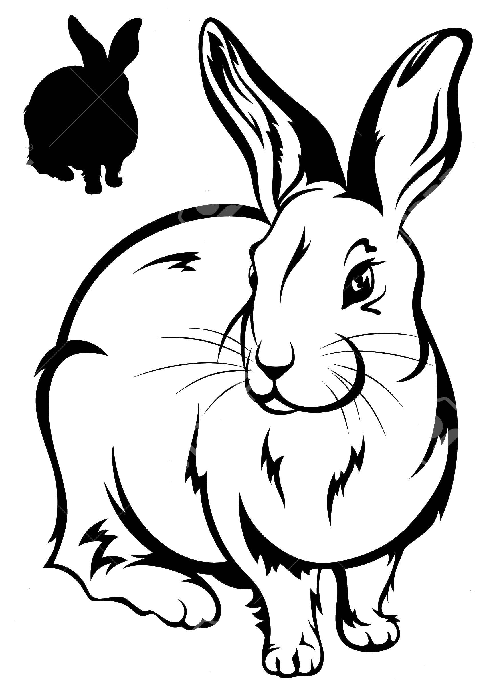 Раскраски зайцы  Вырезаем кролика