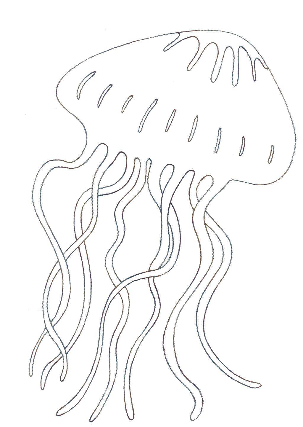   Медуза в океане