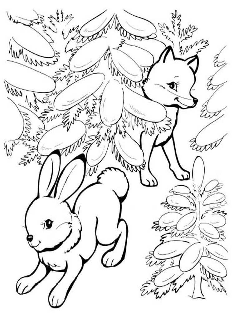 Раскраски зайцы  Лиса с зайцем в снегу