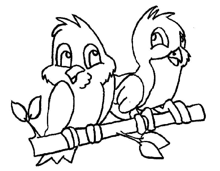 Раскраска попугай  Два попугая на ветке