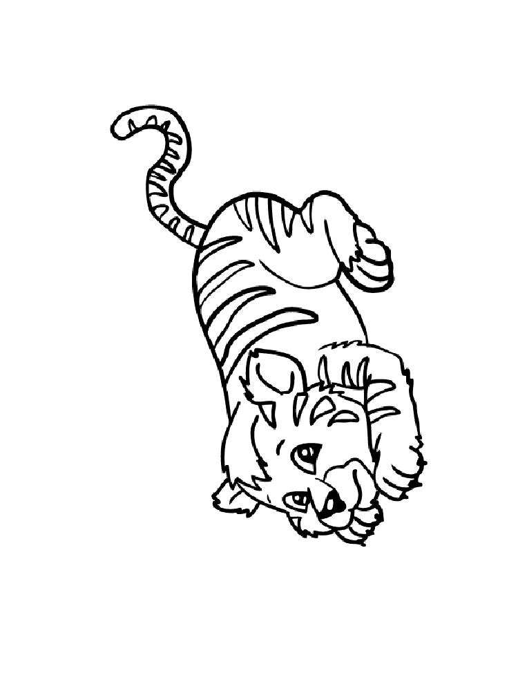  Скачать или распечатать раскраску, играющий тигр