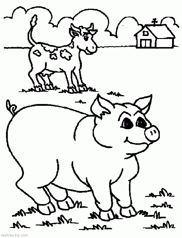   Раскраска деревня. домашние животные, корова и свинья