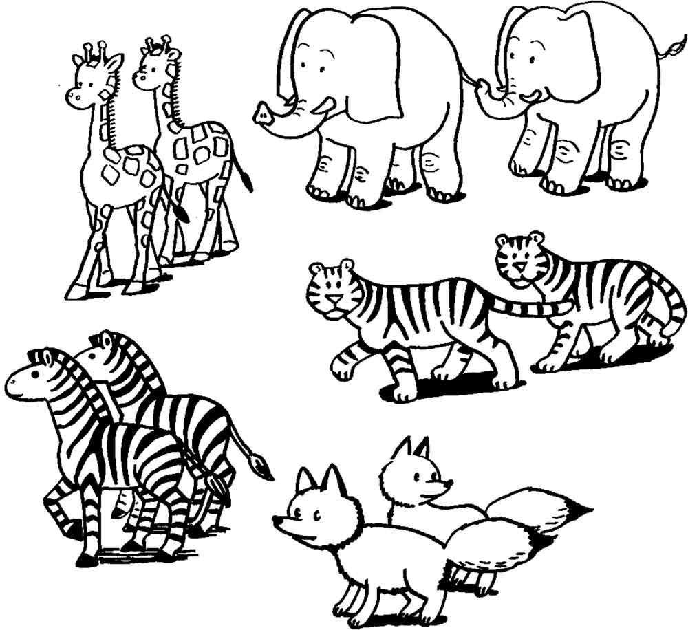   Скачать или распечатать раскраску, слоны, жирафы, тигры, зебры, лисы